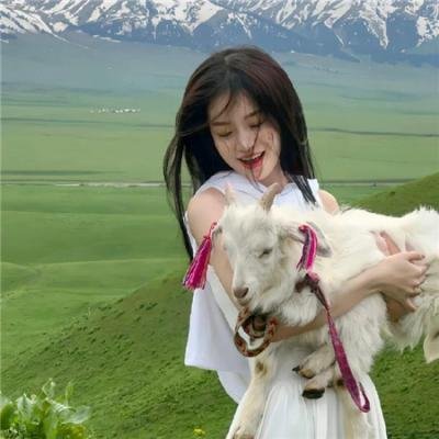 小谢尔顿第七季